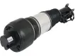 2113209413 Air Strut for MERCEDES-BENZ CLS (C219), E-CLASS (W211)