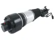 2113209313 Air Strut for MERCEDES-BENZ E-CLASS (W211)
