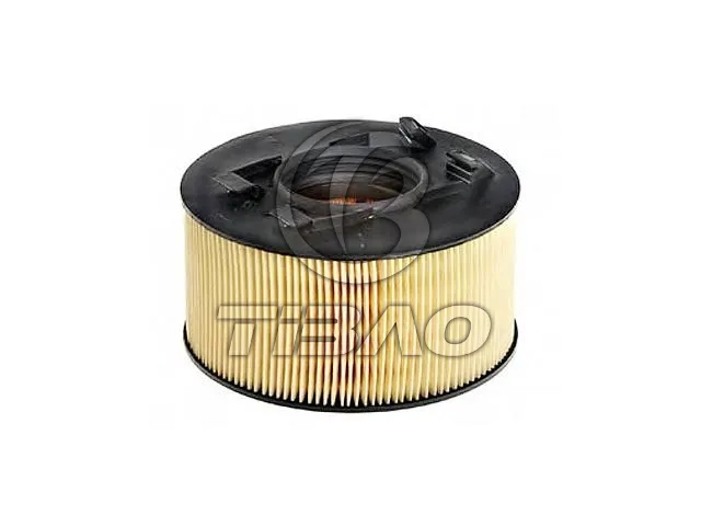 13717503141 Engine Parts Air Filter for BMW 3 Coupe (E46)