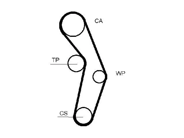 06A109119B Engine Parts Timing Belt for AUDI A3, VW GOLF, SEAT LEON (1P1), SKODA LAURA II (1Z3), OCTAVIA II (1Z3)