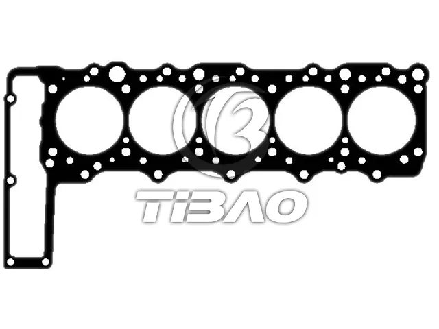 6020162320 Engine Parts Cylinder Head Gasket for MERCEDES-BENZ MB Van (W661), DAEWOO, GM KOREA KORANDO Cabrio (KJ), MULTICAR UX100, PUCH G-MODELL Van (W461), SSANGYONG KORANDO Cabrio (KJ)