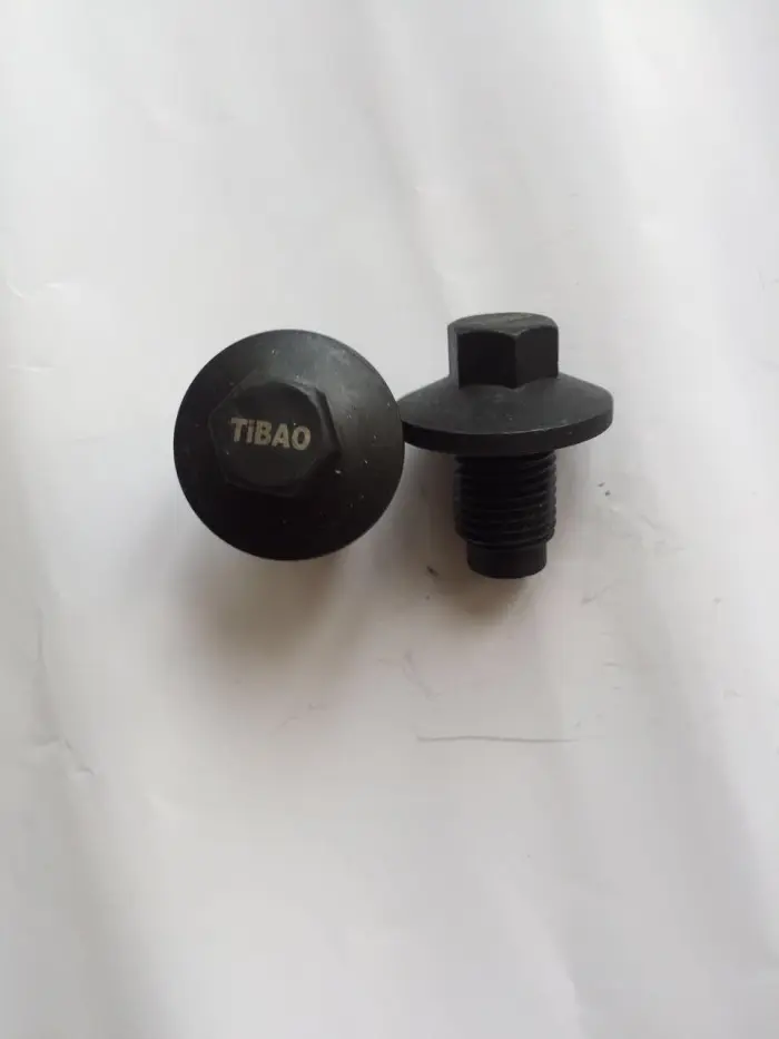 1013938 Engine Parts Oil Drain Plug for