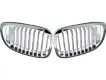 TB0318009 Radiator Grill for 