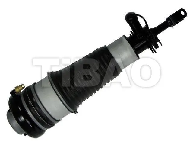 4F0616039AA Air Suspension Parts Air Suspension Strut for AUDI A6 / S6 C6 (4F2)