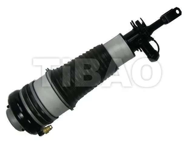 4F0616040AA Air Suspension Parts Air Suspension Strut for AUDI A6 / S6 C6 (4F2)