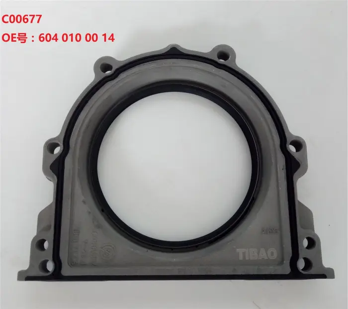 6040100014 Engine Parts Crankshaft Oil Seal for 