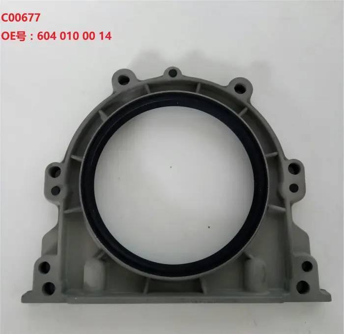 6040100014 Engine Parts Crankshaft Oil Seal for 