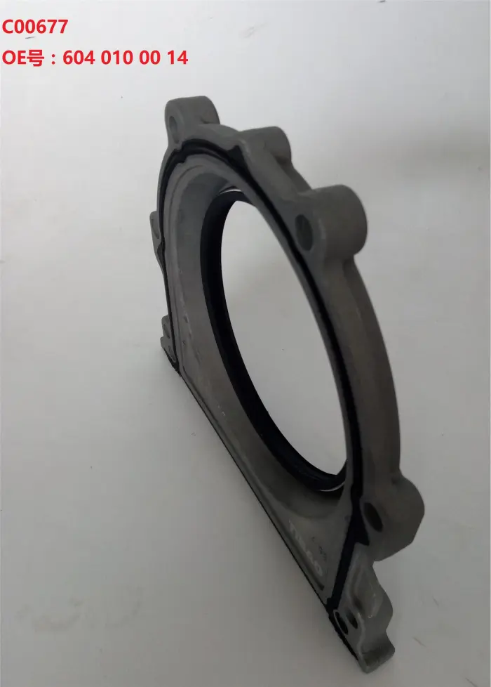 6040100014 Engine Parts Crankshaft Oil Seal for 