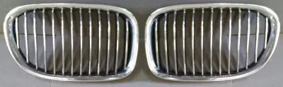 51117184151 Radiator Grill for BMW 7 (F01, F02, F03, F04)