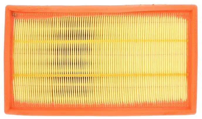 C2Z15037 Engine Parts Air Filter for DAIMLER SUPER EIGHT (X350), JAGUAR XF SPORTBRAKE (X250)