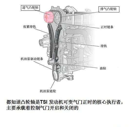 03C198026A Engine Parts Timing Kit for 