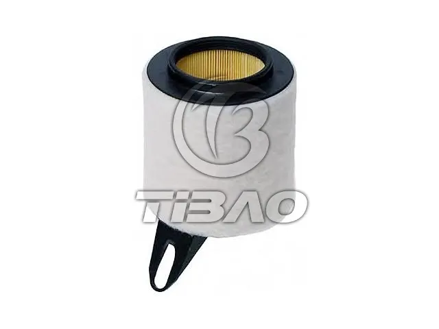 13717532754 Engine Parts Air Filter for BMW 3 Convertible (E93)