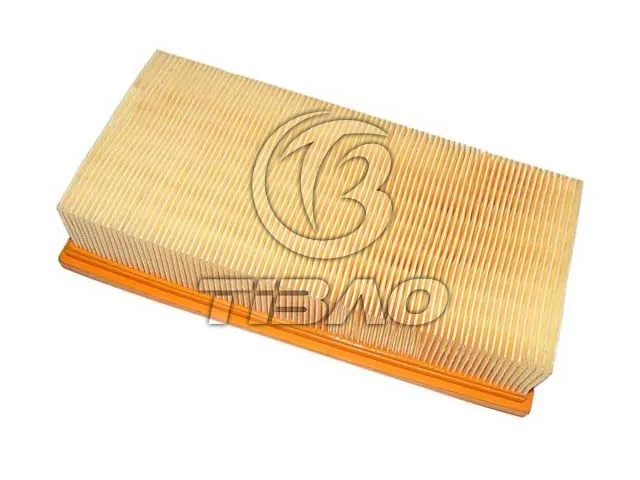 13721702907 Engine Parts Air Filter for BMW X5 (E53), 7 (E38)