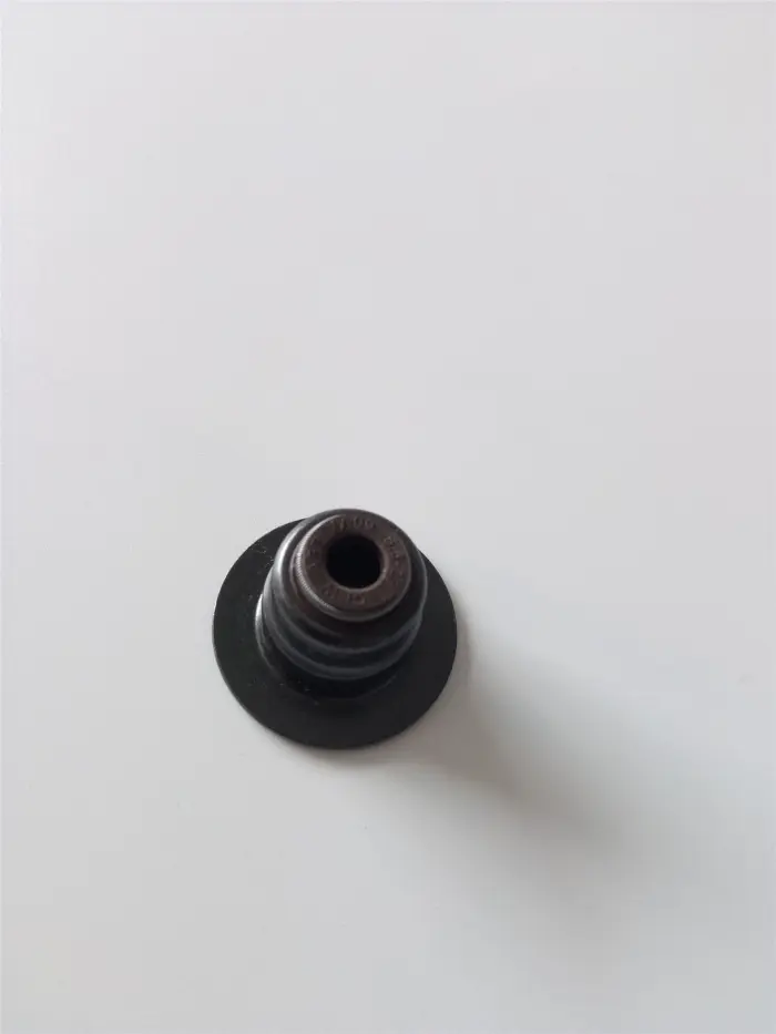 LRYF0001 Engine Parts Valve Stem Seal for 