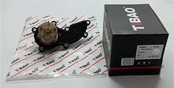 95810603202 Engine Parts Thermostat for AUDI A7, PORSCHE PANAMERA, VW TOUAREG